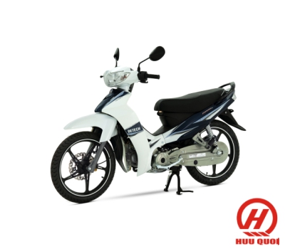 Si Xanh Tím Trắng